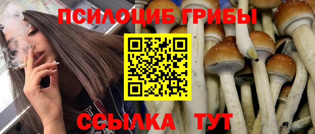 Псилоцибиновые грибы Magic Shrooms Кисловодск