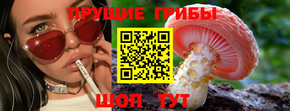 Псилоцибиновые грибы ЛСД  Псилоцибиновые грибы мухоморы  дарнет шоп  Кисловодск  Вход с VPN 
